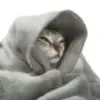 bbaca