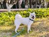 长沙中锋小程2
