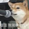 古德尔吉