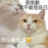 素雅蕾丝9