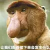 单腾飞