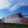 zhangxin66