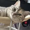 默默默默i