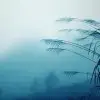 球迷5502128
