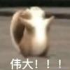 罗征骺
