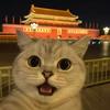 石门彭于晏