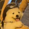 20040何猷君