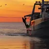 专注看台上的烟火