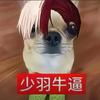 安联球场的KING