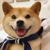 汕头中场小万