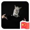 江苏圣埃利亚球场小金