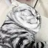 丹东路易二世体育场小曹
