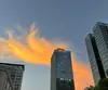 激光有春天
