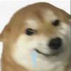 超级大藕片