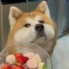 俺叫马莱莱