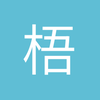 赖斯的头发