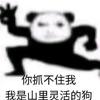 自有鳳九歌