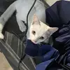 用户3839