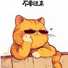 硬条121