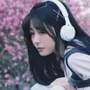 王老吉传人贾宝玉