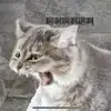 Repslin