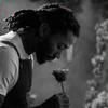 Messirose