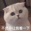 阿这哈哈哈