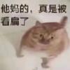 一颗好石头