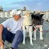 莫克姆油焖大虾