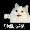 帝皇之子