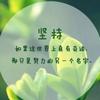 MSN洋