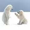 野球局教练