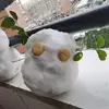 成都新蓉城