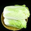 世界强队巴菜罗那