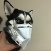 一只懂球弟