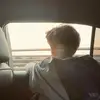 寒枝梧桐凤