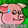 伊宁克孜