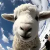 球迷7666295