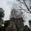 濤爱君