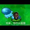 球迷31607139