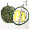 鲁能泰山小球迷
