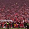 wwwYan