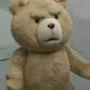 shitpass