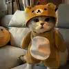球迷1899754