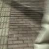 逸想放假就凡