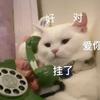 奇怪的刘同学