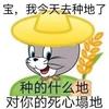 格雷R