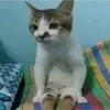 不破聖衣來