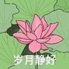 山东边后卫小熊3