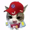左脚不会长传